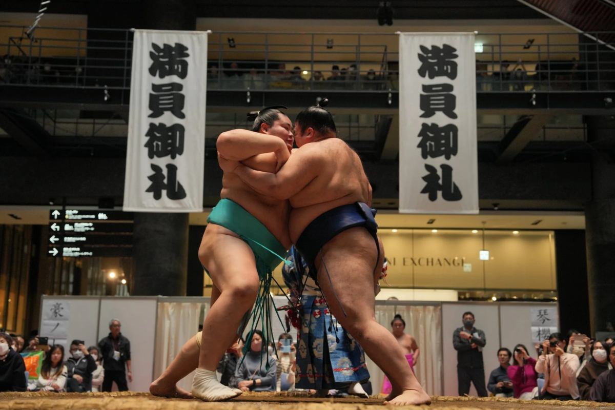 相撲の取組