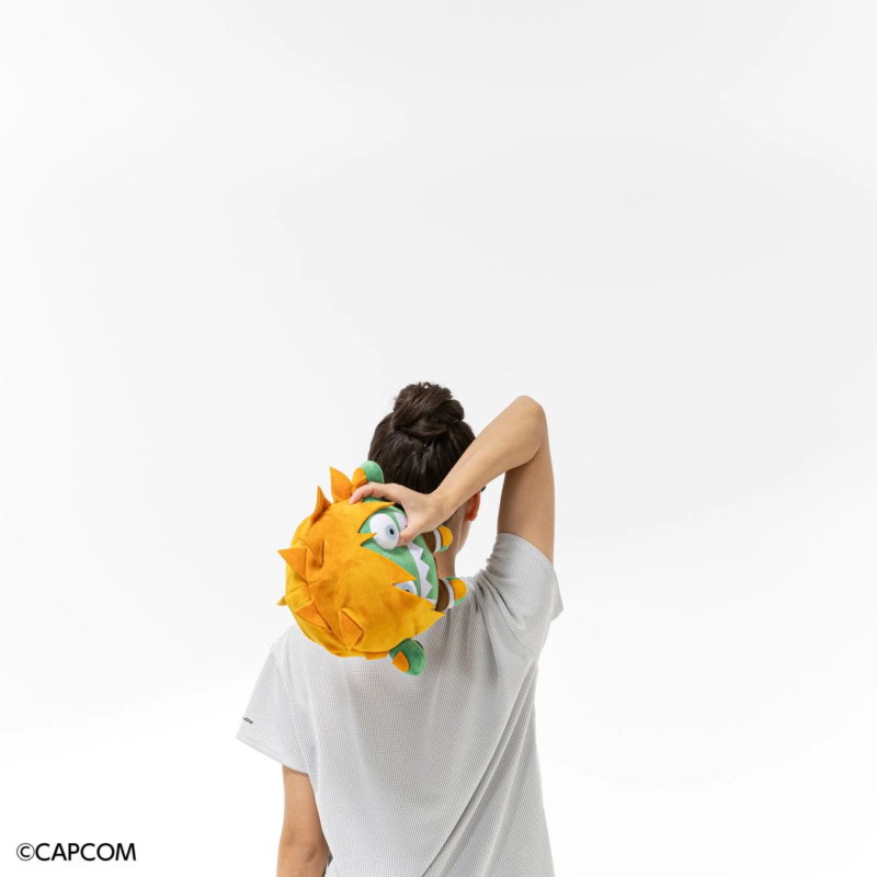 ブランカちゃん人形を使ったトレーニング1