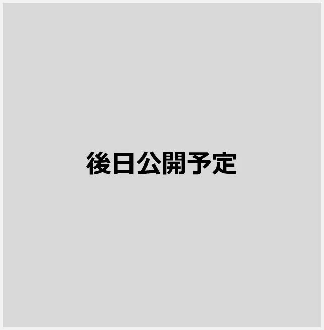 後日公開予定