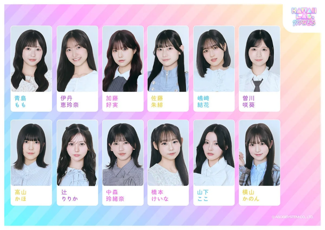 KAWAII LAB. MATES