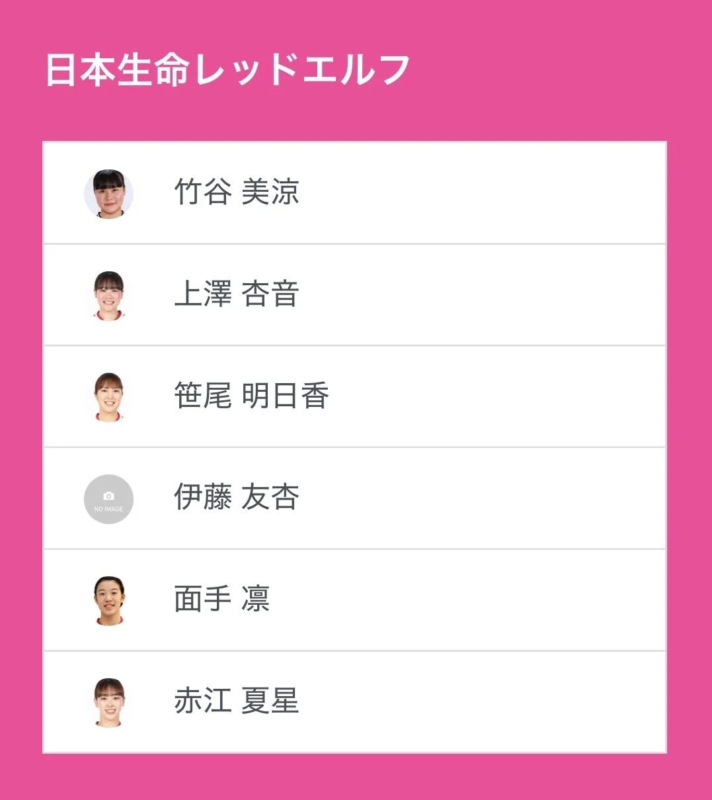日本生命レッドエルフ選手リスト