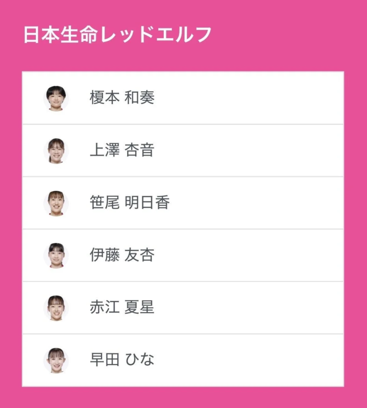 日本生命レッドエルフ選手リスト
